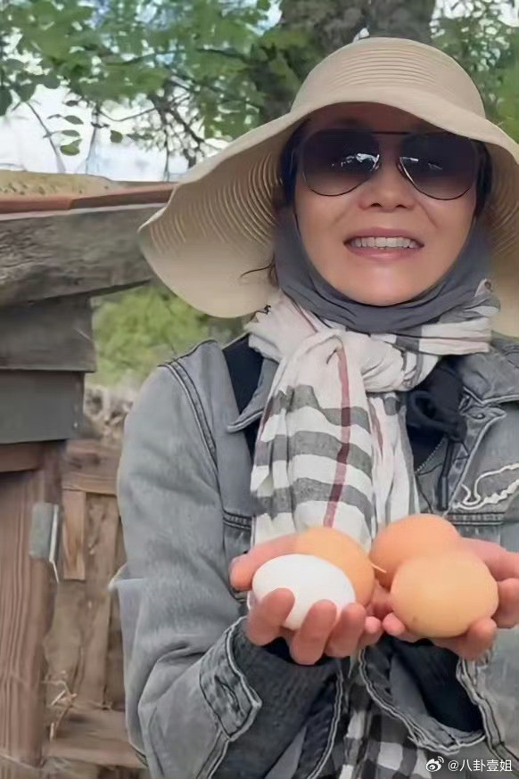 60岁张曼玉定居法国农村不过张曼玉定居了农村，戴上草帽捡鸡蛋，看着也不像村姑，还