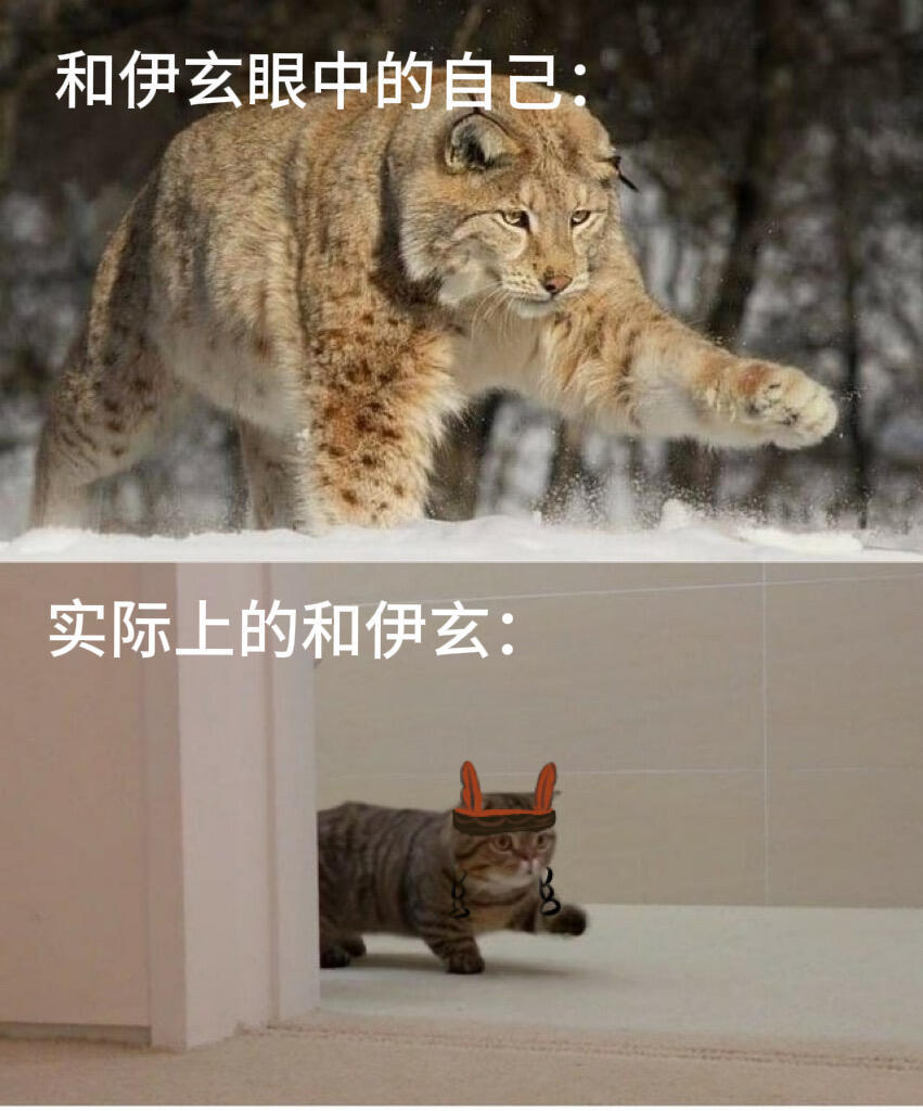 一些镖人meme
