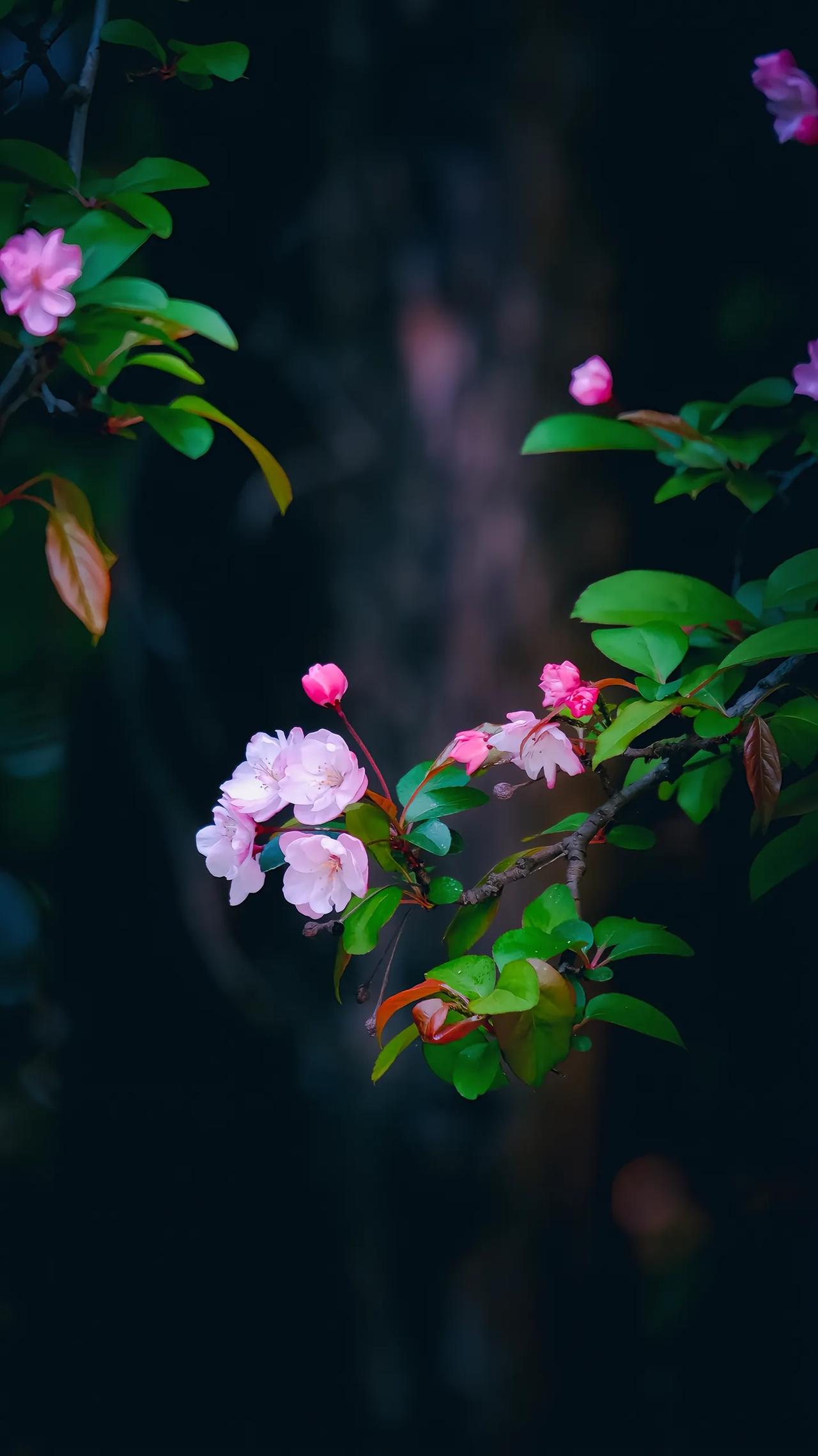 老特，我越想越觉得可笑。你把人家一家子都杀光了，然后说咱们别打了，让人家投降，还