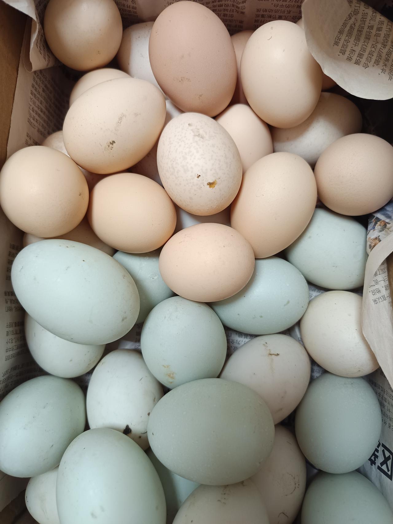 这才是实打实的家养散养鸡蛋与鸭蛋，原汁原味，品质可见。舅舅住在城郊