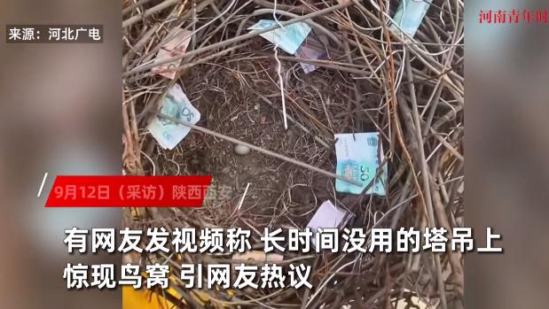 “解释不清了！”陕西西安，一塔吊司机发现自己长时间没用的塔吊上发现了一鸟窝，更神