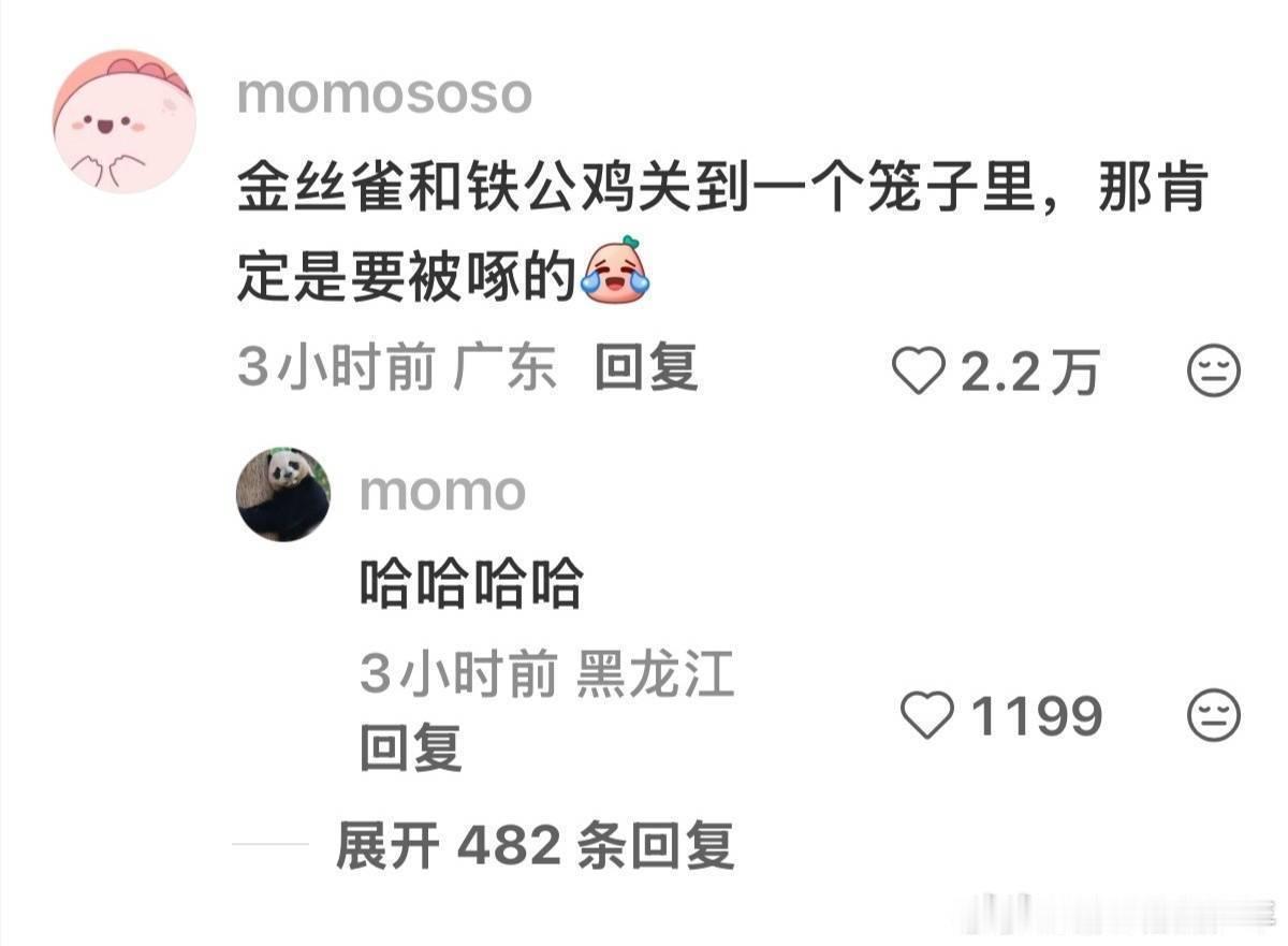 现在网上不少人在共情洗白景甜，但说实话，双方其实都算不上完全无辜。口头上不会为金