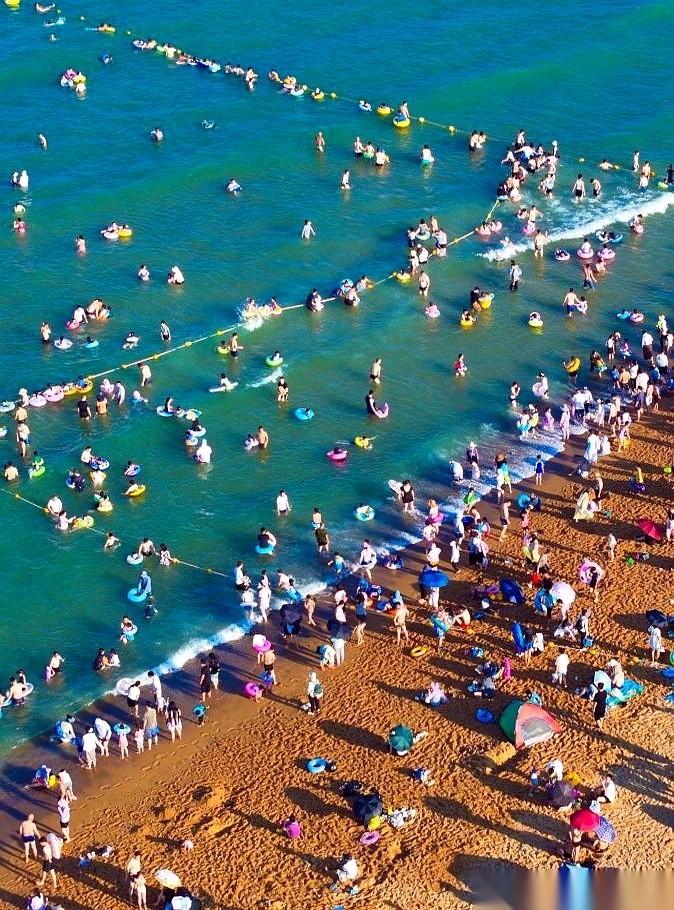 “有海蜇！”晚上7点的日照海水浴场，不知道水里谁嗷了一嗓子。原本挤得密不透风的