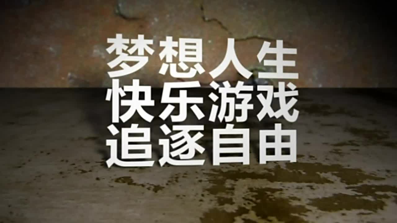 僵尸枪手秘籍_僵尸枪手1秘籍怎么用_僵尸枪手2秘籍怎么用