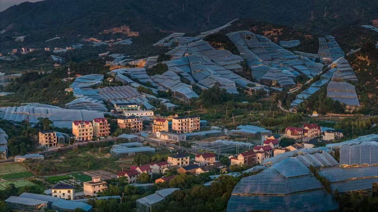 浙江一颗杨梅撑起乡村共富大产业浙江金华兰溪马涧镇是知名杨梅主产区，当地拥有4.