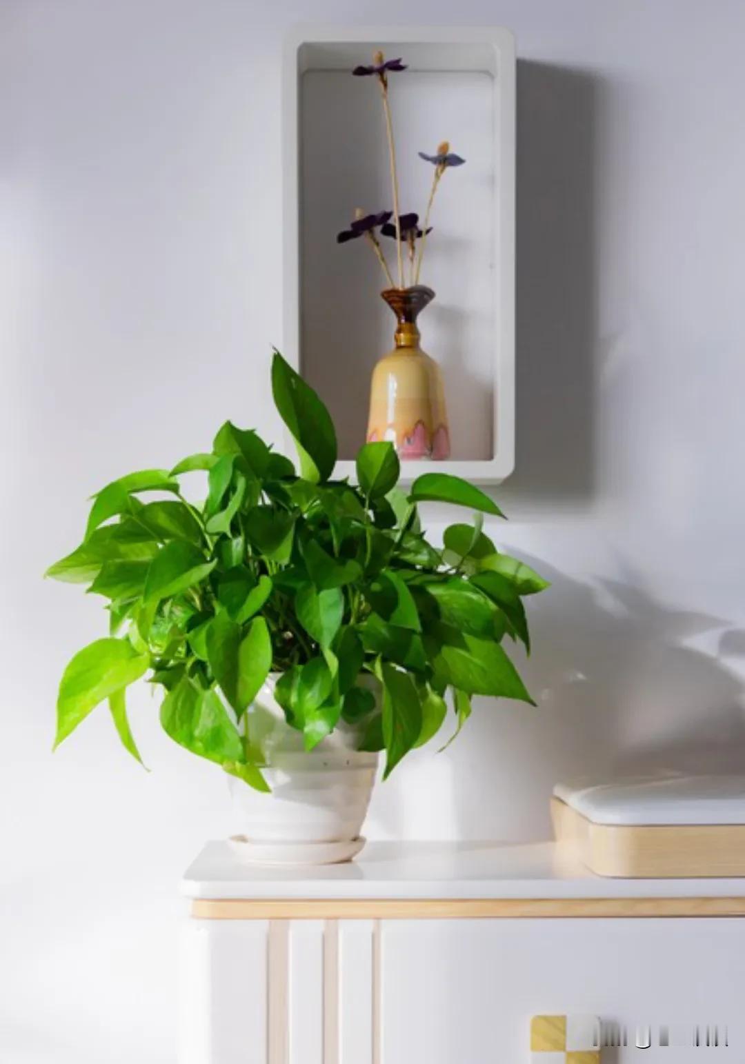 与人聊天三不问：1、不问别人的收入钱是个敏感的话题。别人工作每个月挣多少