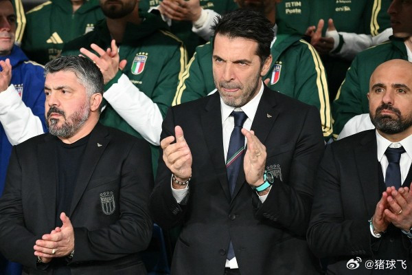 布冯表态：将与加图索留任至6月，意大利先止血再复盘意大利再次无缘世界杯决赛圈，打