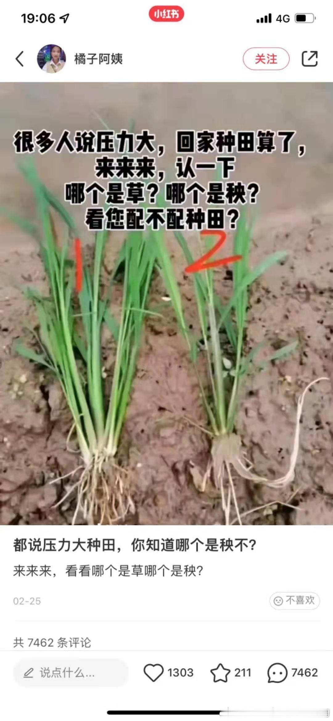 你们能认得清么？