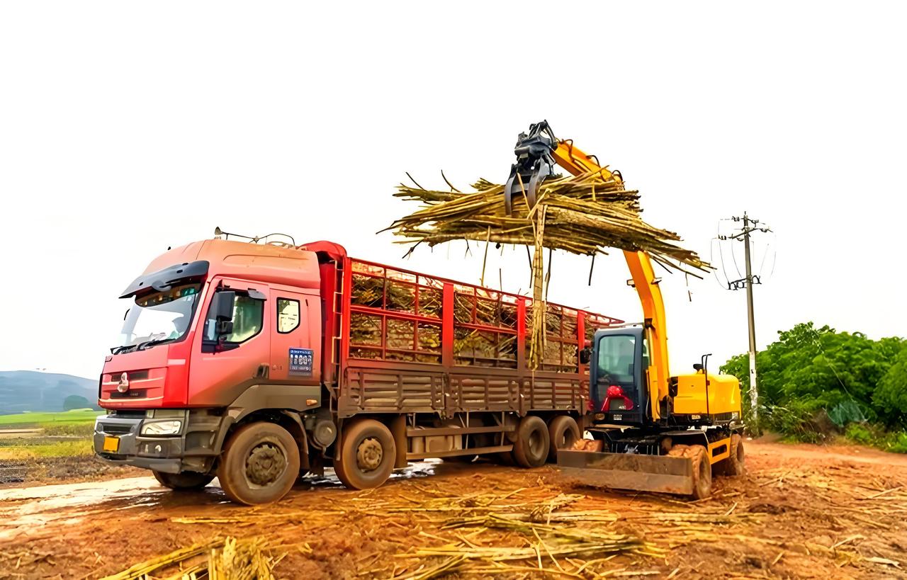 广东一根甘蔗2元钱，本地是30元。这差价怎么这样大？在广东，1