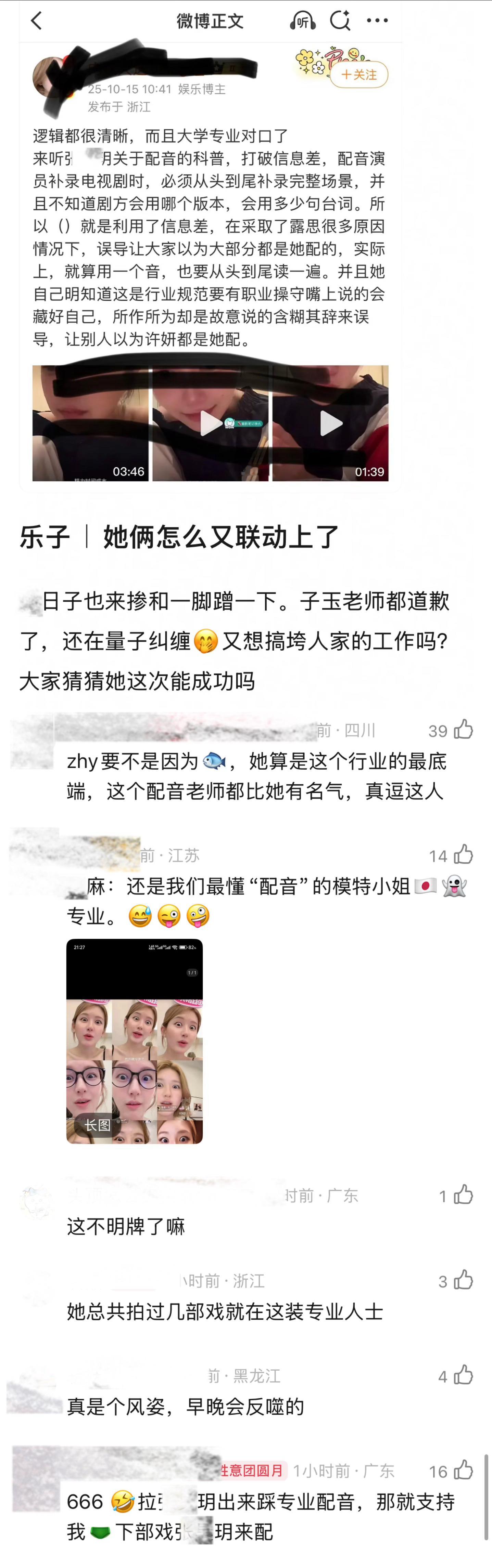 一条狗的使命​​​
