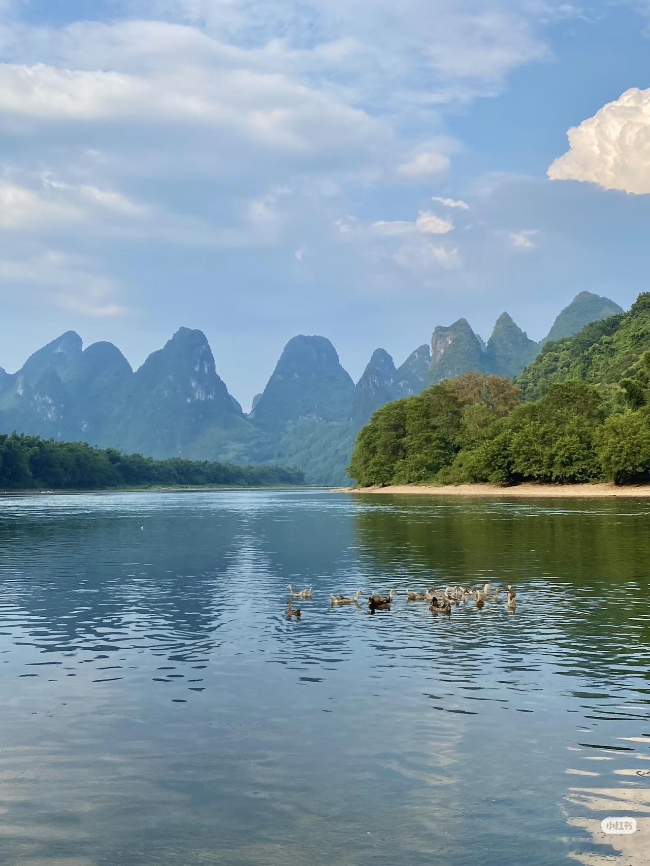 被吹上天但吃了没屁用的10样东西，全是智商税icon：1. 燕窝：主要成分为