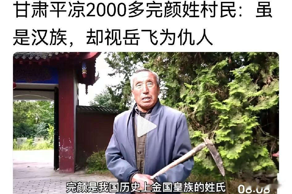 甘肃平凉，居然有两千多完颜姓氏视岳飞为仇人，真是颠倒黑白，让人啼笑皆非。岳飞没有侵略金国呀！是金国侵