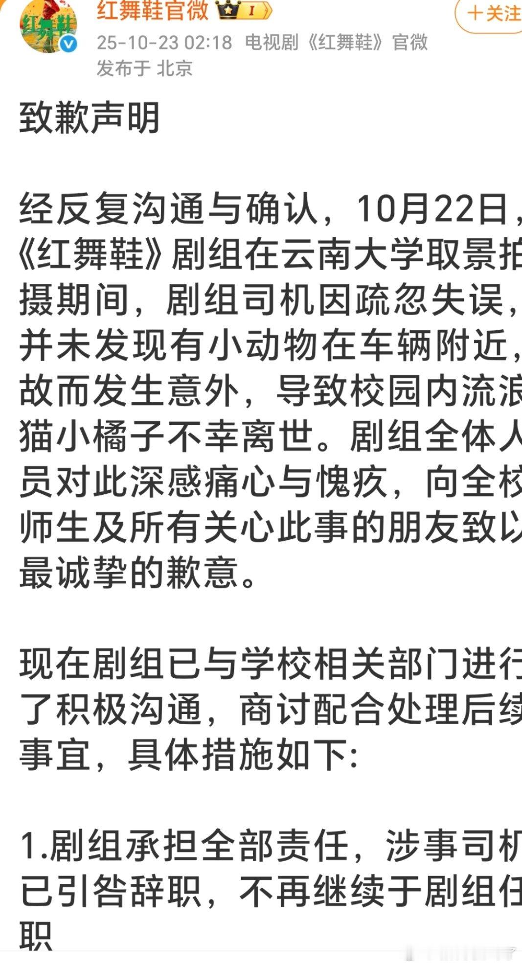 红舞鞋官微道歉，不是不允许车辆进校园吗？可怜的小猫​​​