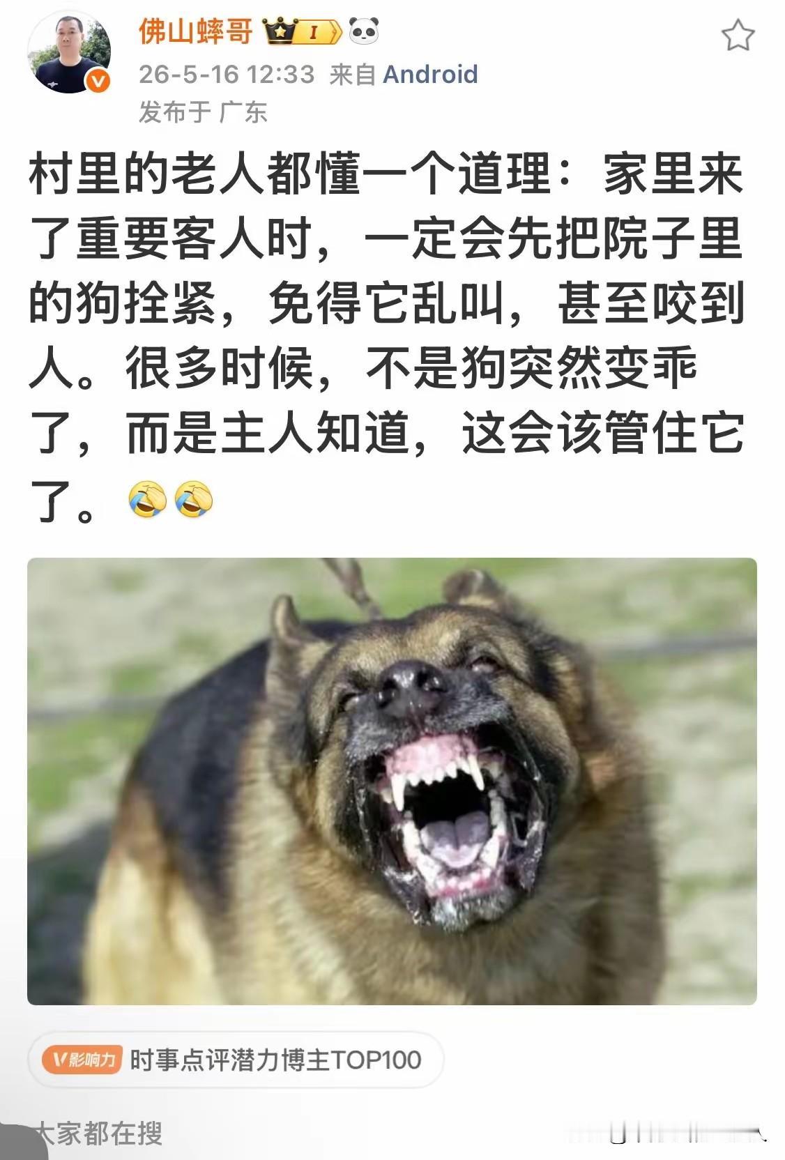 看下图，最近大家是不是刷到很多这种一模一样的文案？这种几乎一模一样的隐喻文案集
