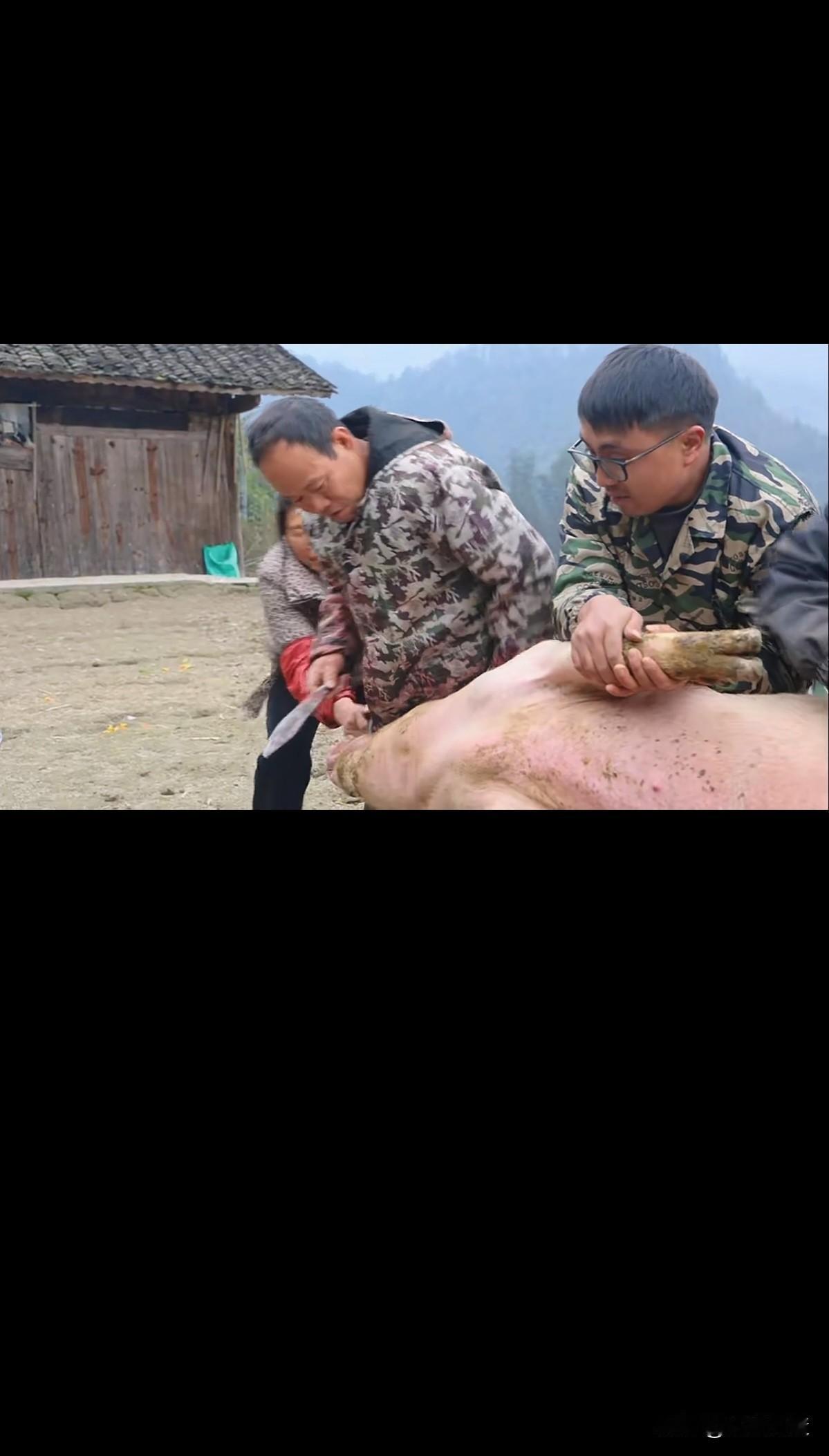 湖南大网红湘西冬宝错失了成为千万网红的机会。冬宝年年办杀猪宴，没想到天大的流