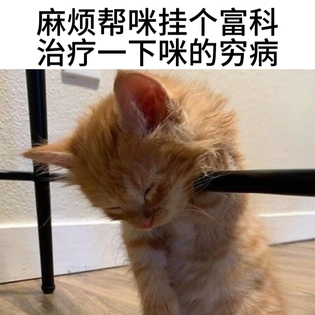 看点猫meme，把不开心带走memes