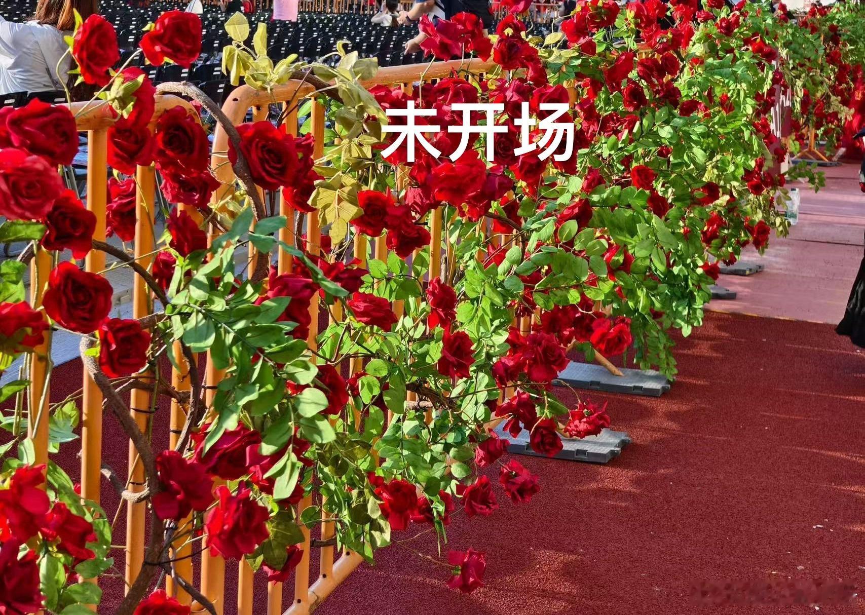 华晨宇七夕准备了8万朵玫瑰花还有人没看过华晨宇的玫瑰宇宙吗？自担豪掷8万朵玫瑰
