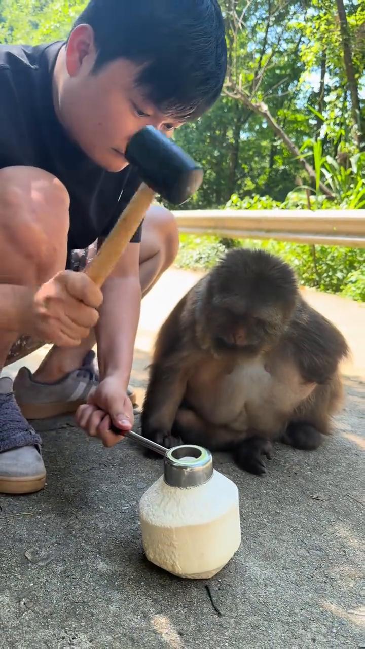 你拿掉了，等一下，先不要急，等下先摘了。