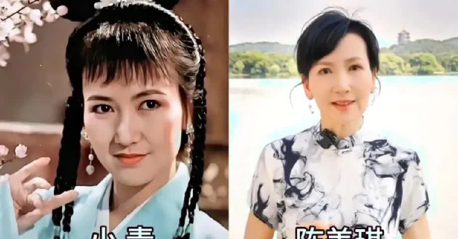 1992年电视剧《新白娘子传奇》演员今昔变化！