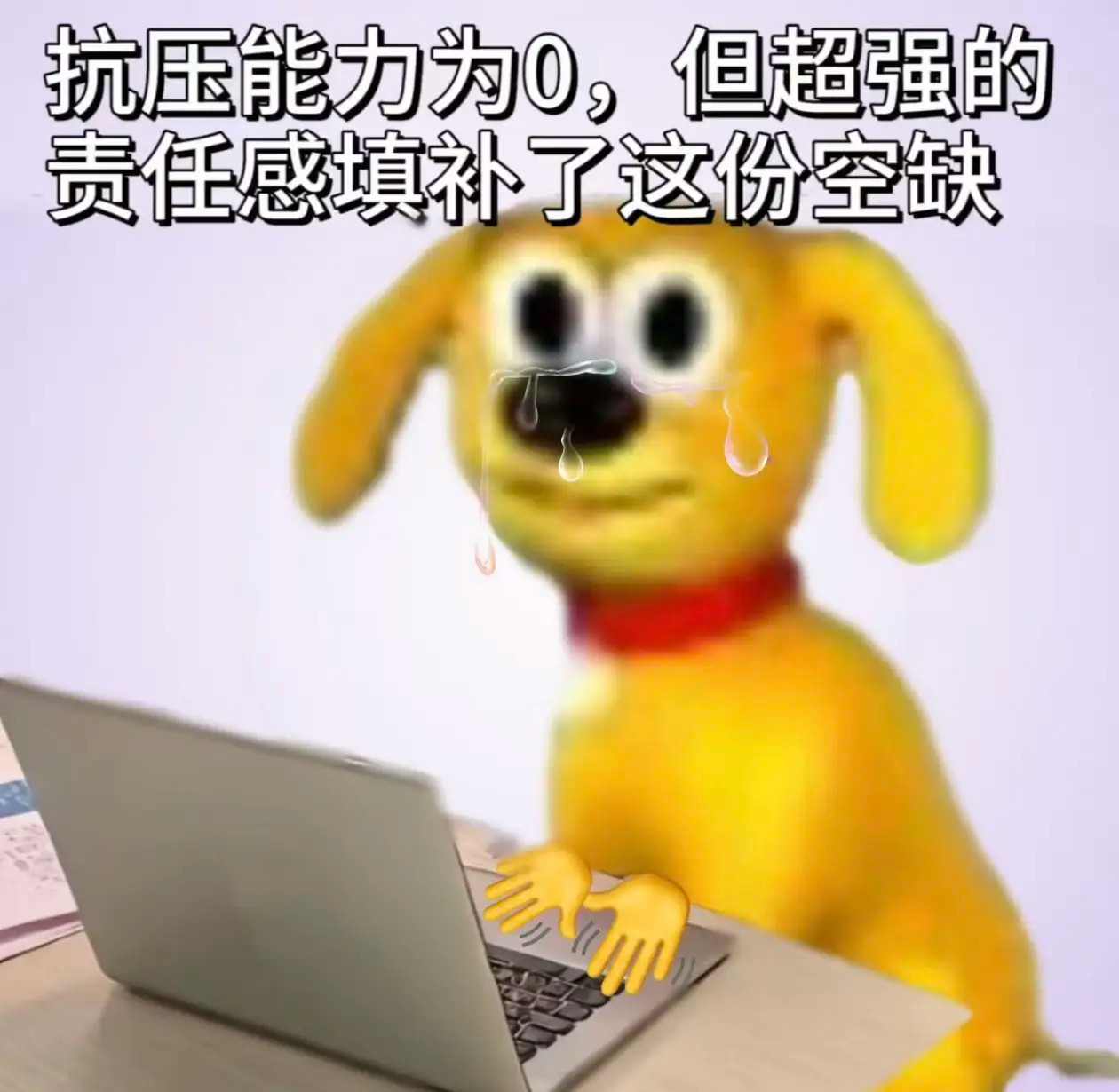 耳鸣头晕失眠胃痛腰酸