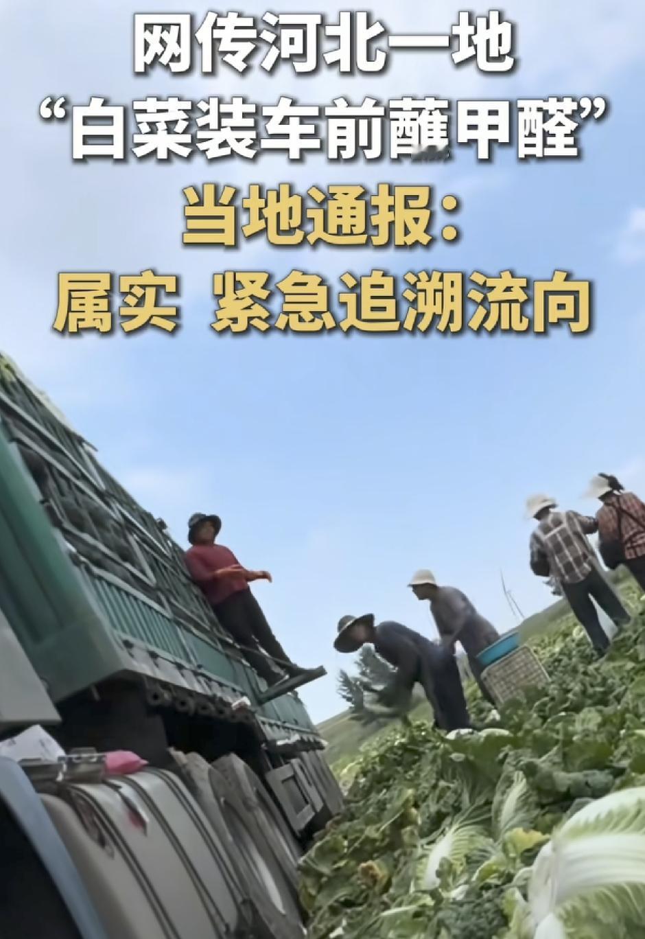 为啥要蘸甲醛？这个甲醛不是装修完家里要通风散出去的有害气体么，怎么还蘸，上了？