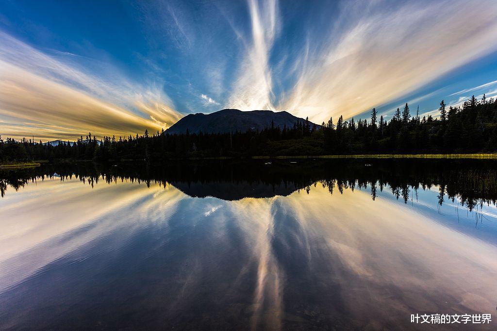 掌控命运：你的人生由自己书写