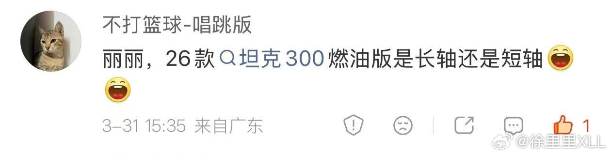 很多人总是问新款坦克300的问题…老实说，很多东西我也不知道。如果说你就是奔着3