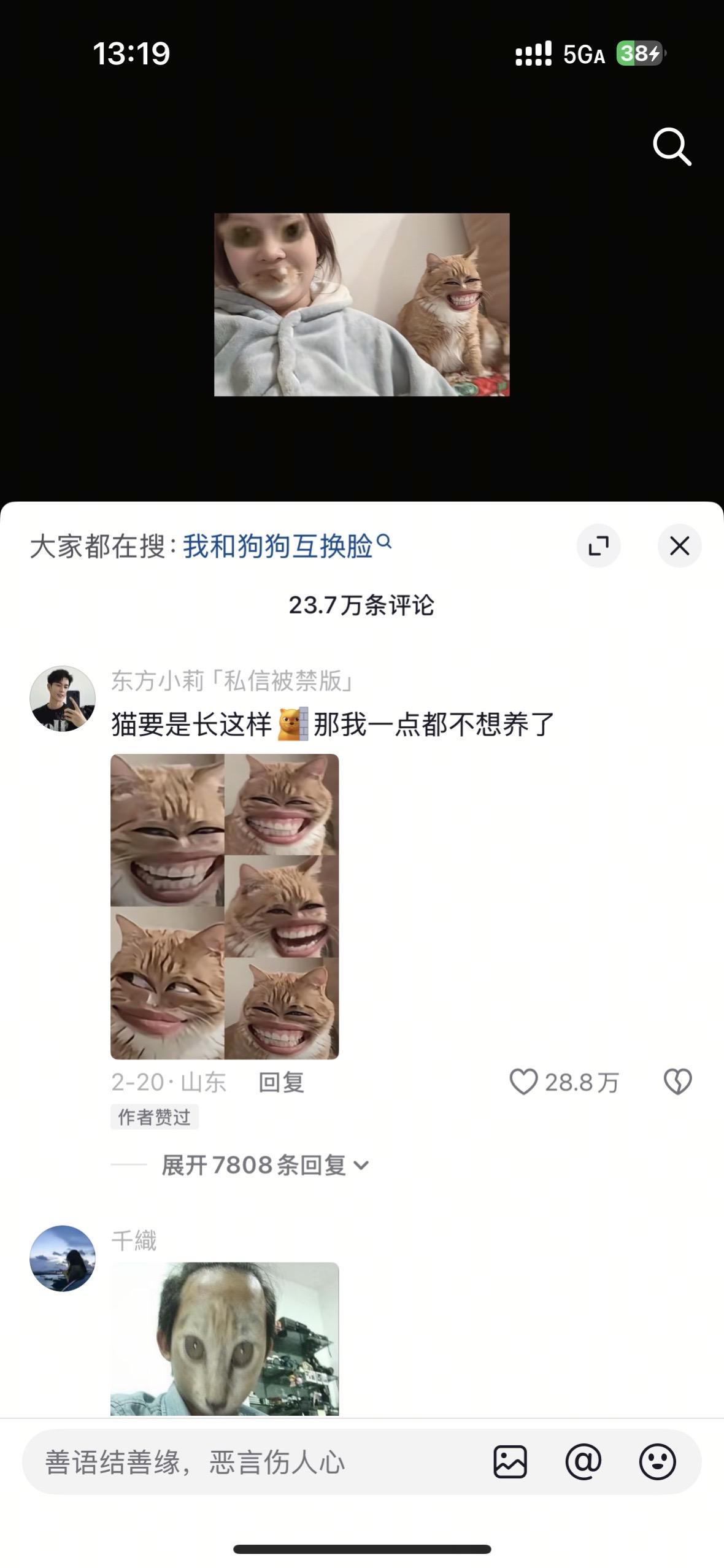 猫猫我也是猥琐起来了