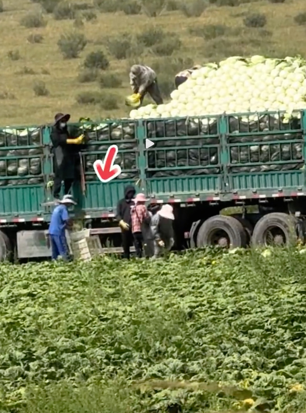 白菜蘸甲醛这么可怕吗？真假？如果原食材都被这样污染了那怎么做也不安全。。。