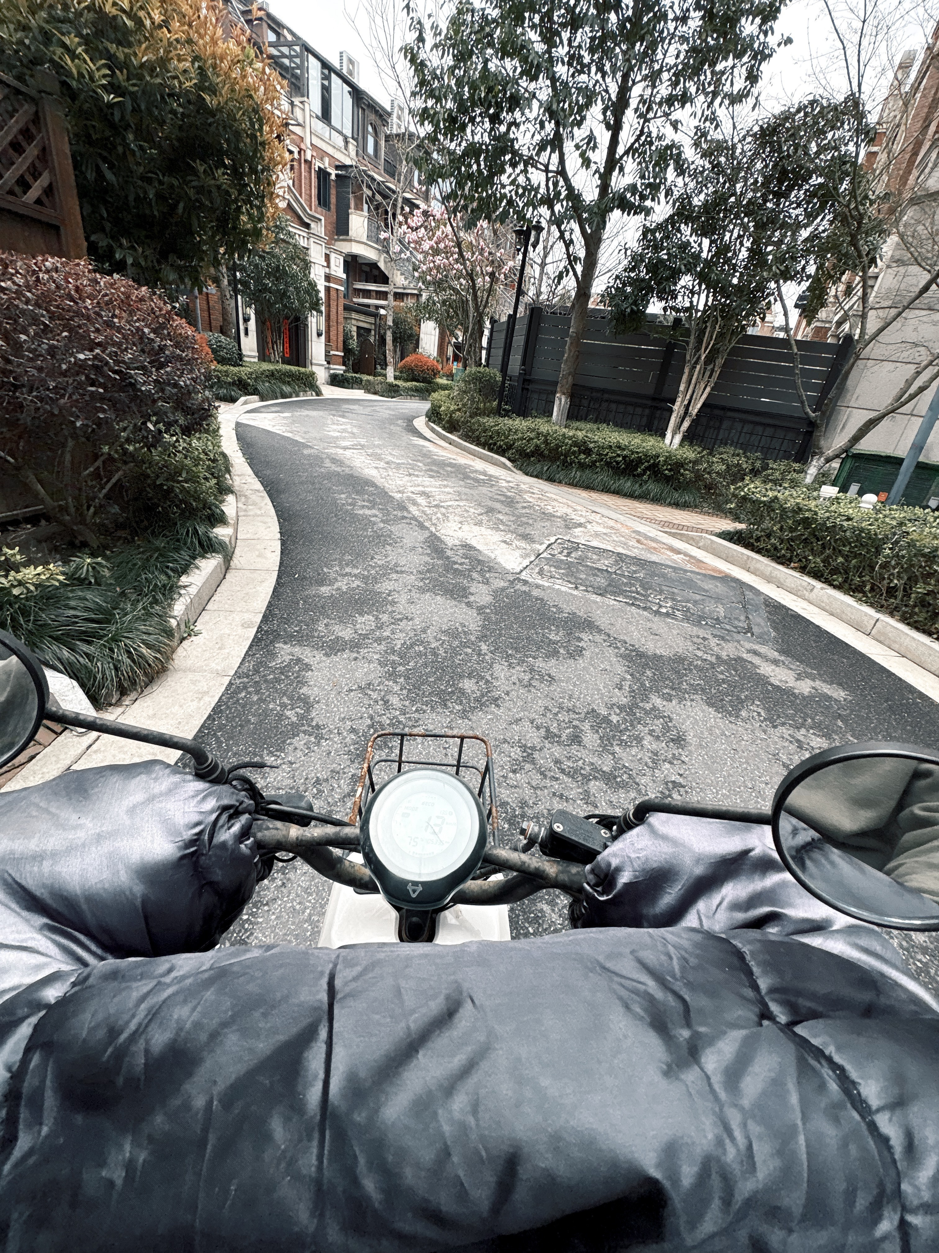 骑小电驴出去疯狂星期四