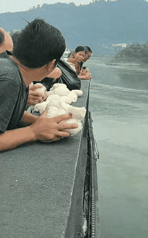 刚刚吃饱饭才多长时间啊。这就……是不是退休金有点太多了……