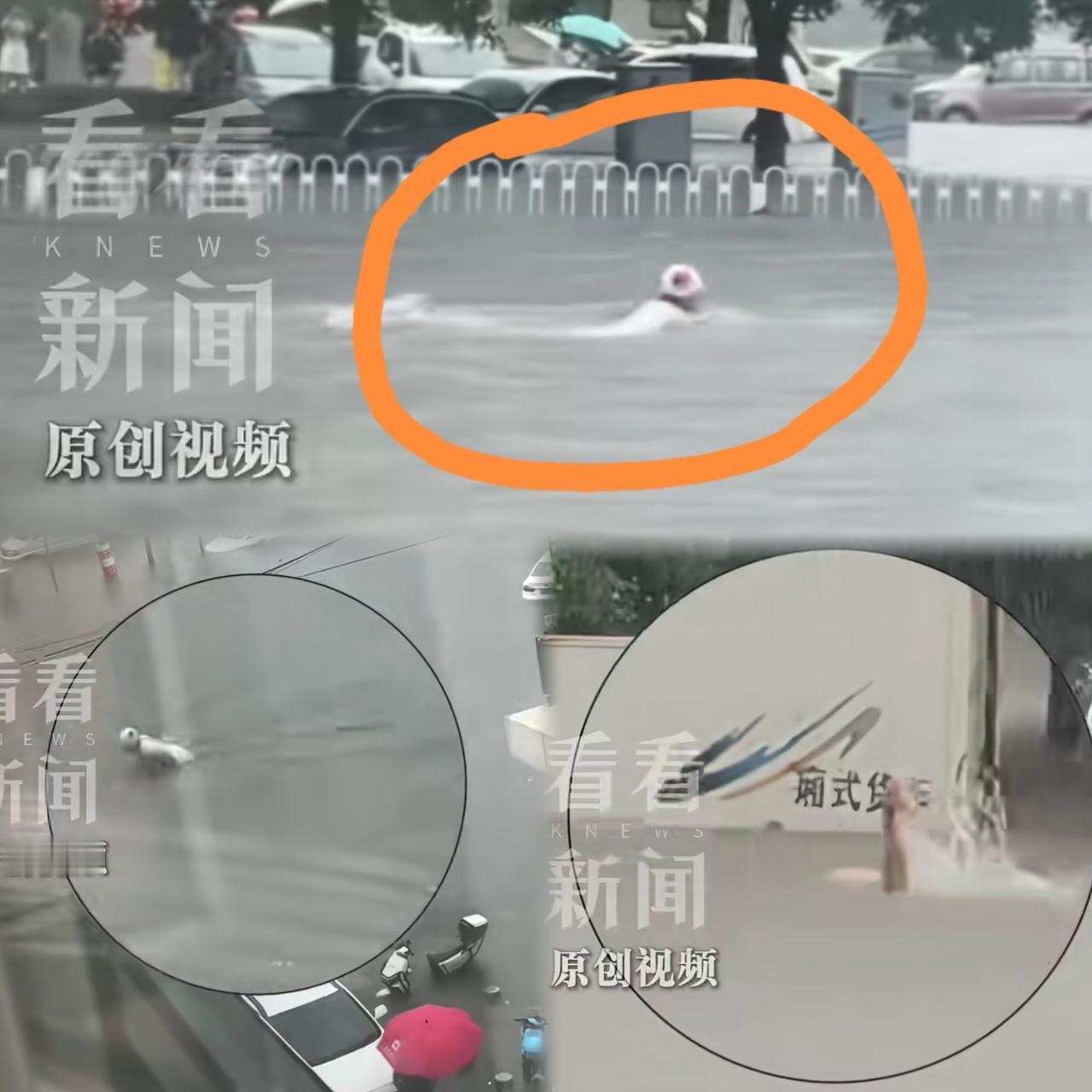 这下好了，不仅东北，连全国人民都知道了，谁能想到，面对暴雨，沈阳银不是囤粮囤水囤