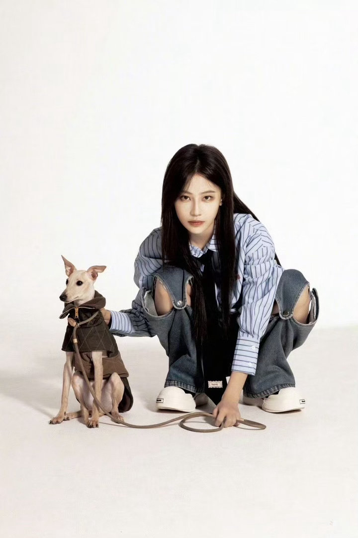 袁一琦的新综艺萌宠自驾旅行综艺《十七号出发》