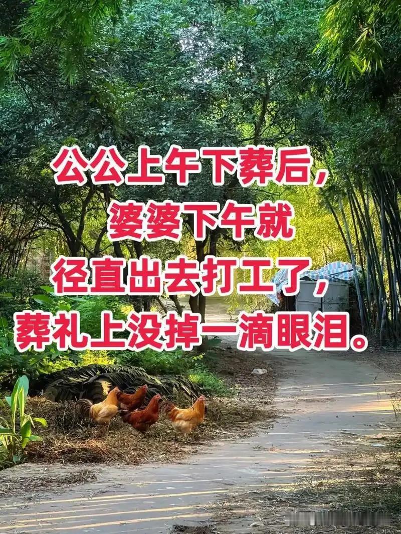 52岁的公公上午下葬，婆婆下午就坐火车出去打工了，葬礼上更是一滴眼泪都不流，有什