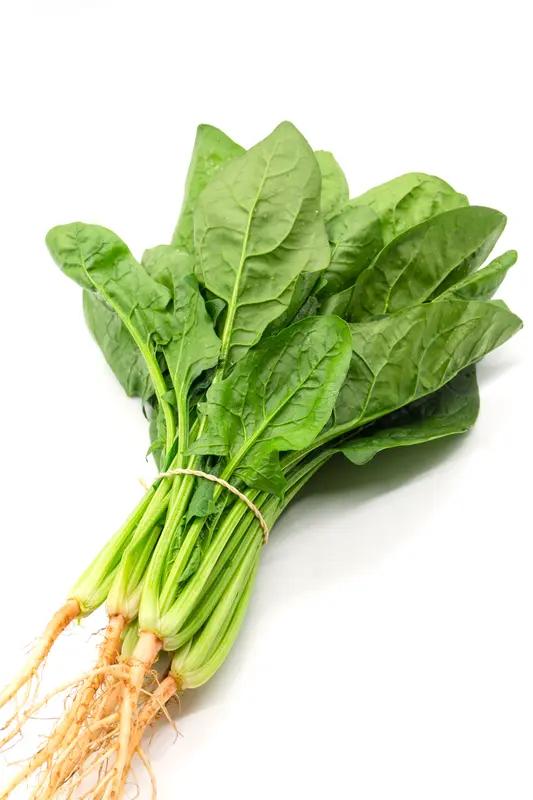 为什么说菠菜是养肝高手?菠菜被称为养肝高手，可不是浪得虚名。菠菜富含多种维生素