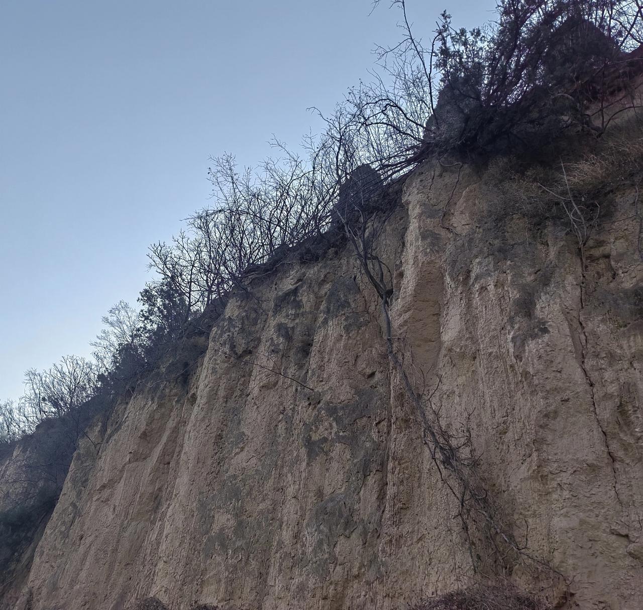 李自成有一支特种部队——“孩儿军”。由自己的嫡系班底“老营”义军培训管理，实行“