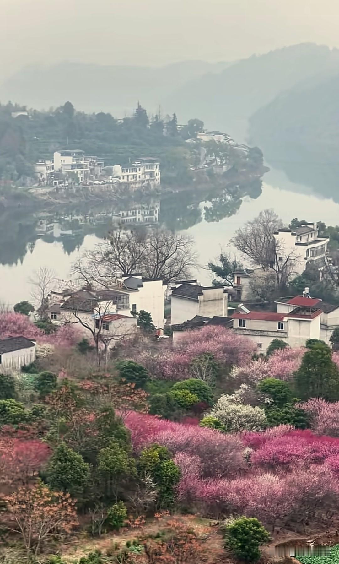 粉黛映湖畔，白墙黛瓦间，春意盎然处。（皖南春色）