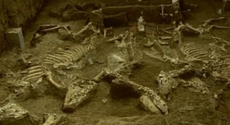 2004年，西安财经学院长安校区建设工地施工期间，一座规模仅次于秦始皇陵的古墓被