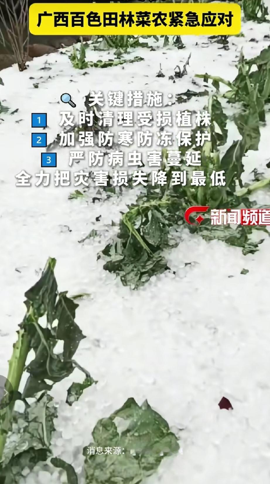 2026年1月1日凌晨，广西百色田林等地遭遇强冷空气带来的冰雹、雨夹雪天气，露天