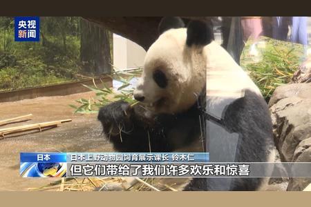 台退将称日本只能来台湾换柴犬12月16日，日本神户市议员上畠宽弘在社交平台上表示