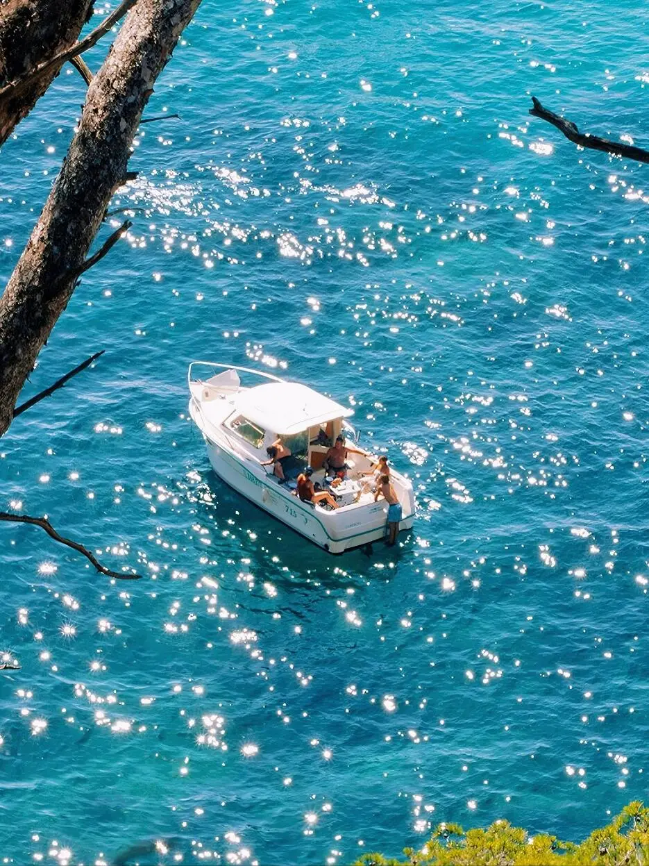 宝藏海岛🩵接下来的南法美的已在next level