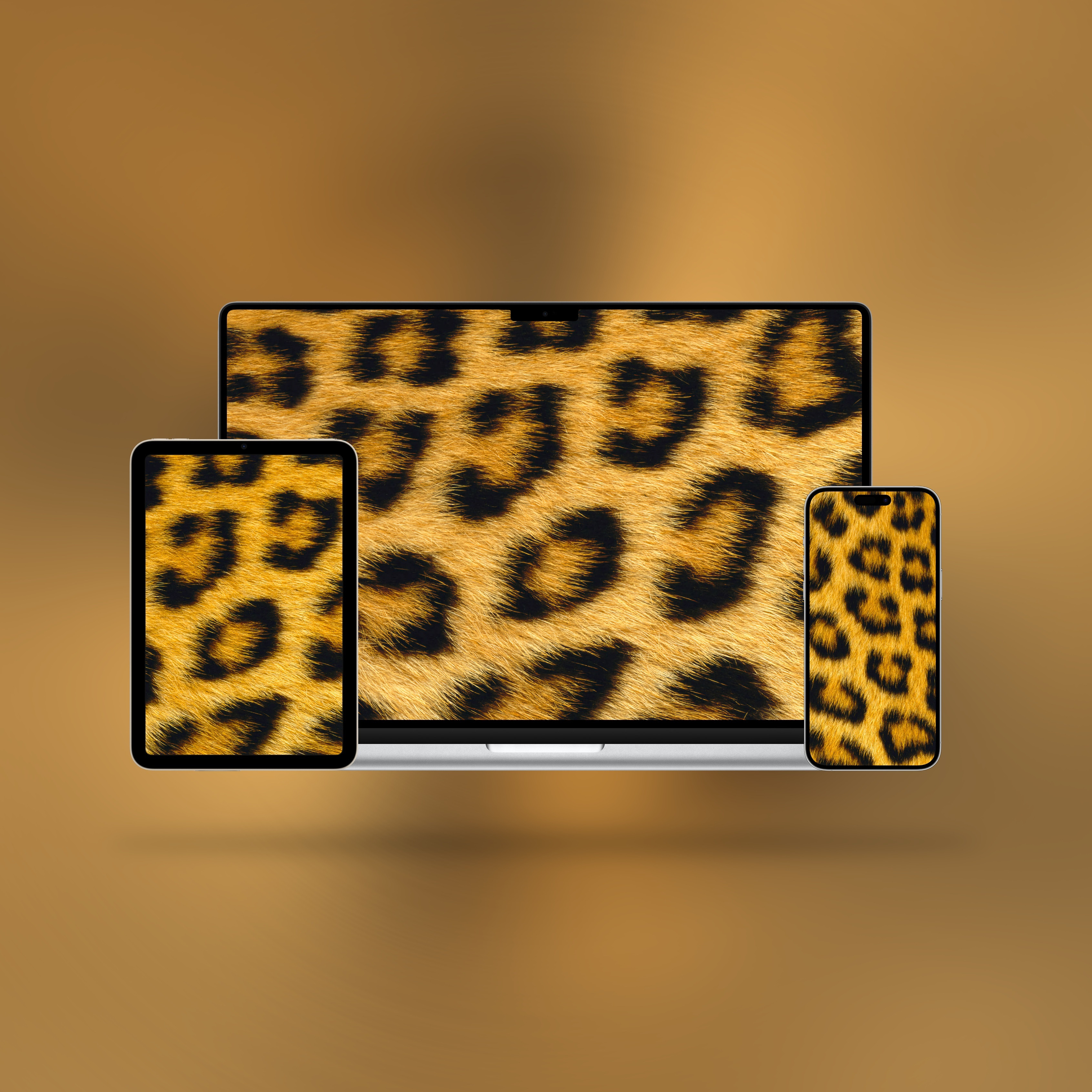 性感豹纹壁纸🐆灵感来源于MacOSX10.2Jaguar丨Ba