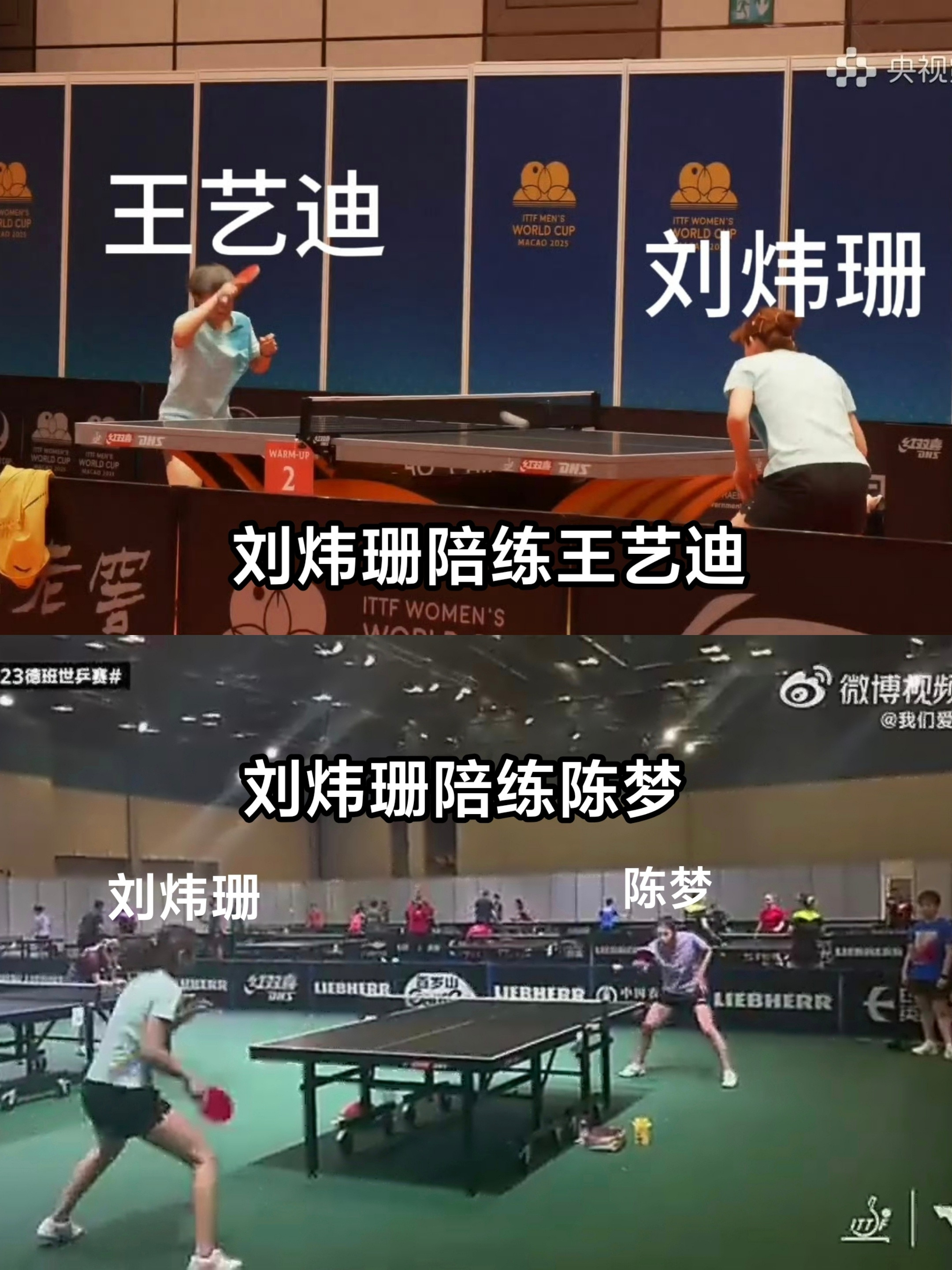 网上说孙颖莎有陪练天团，首先辟个谣，这些所谓的陪练天团，陪练其他主力的图片网上随