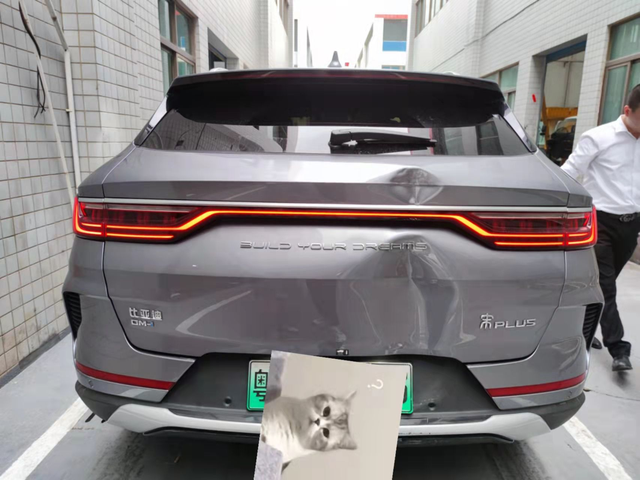 大灰撞了尾门倒车时候不小心撞到后面树桩了，喜提firstblood4儿子