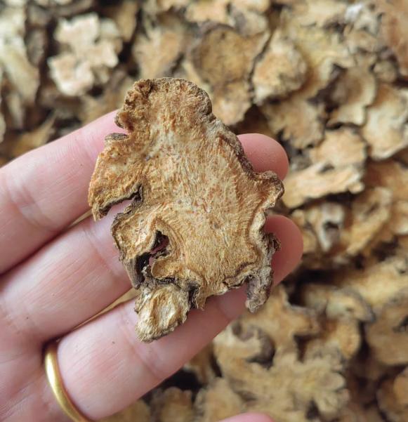 1个治下焦湿热早泄的中成药，清利湿热，固精止泄，时间慢慢变长大家好，我是中