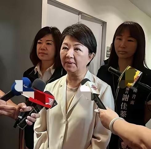卢秀燕意图参选2028的想法恐怕已是路人皆知，不过这一次，卢秀燕却大大方方地秀了