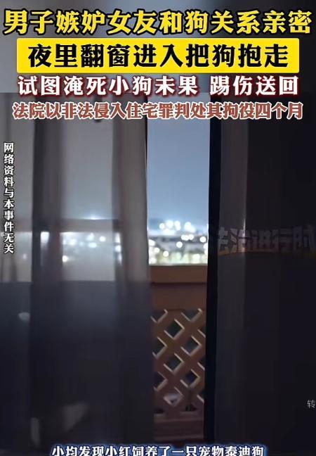 离大谱！上海，一男子发现女友，与其宠物泰迪狗关系异常亲密，吃饭睡觉都抱着，男子起