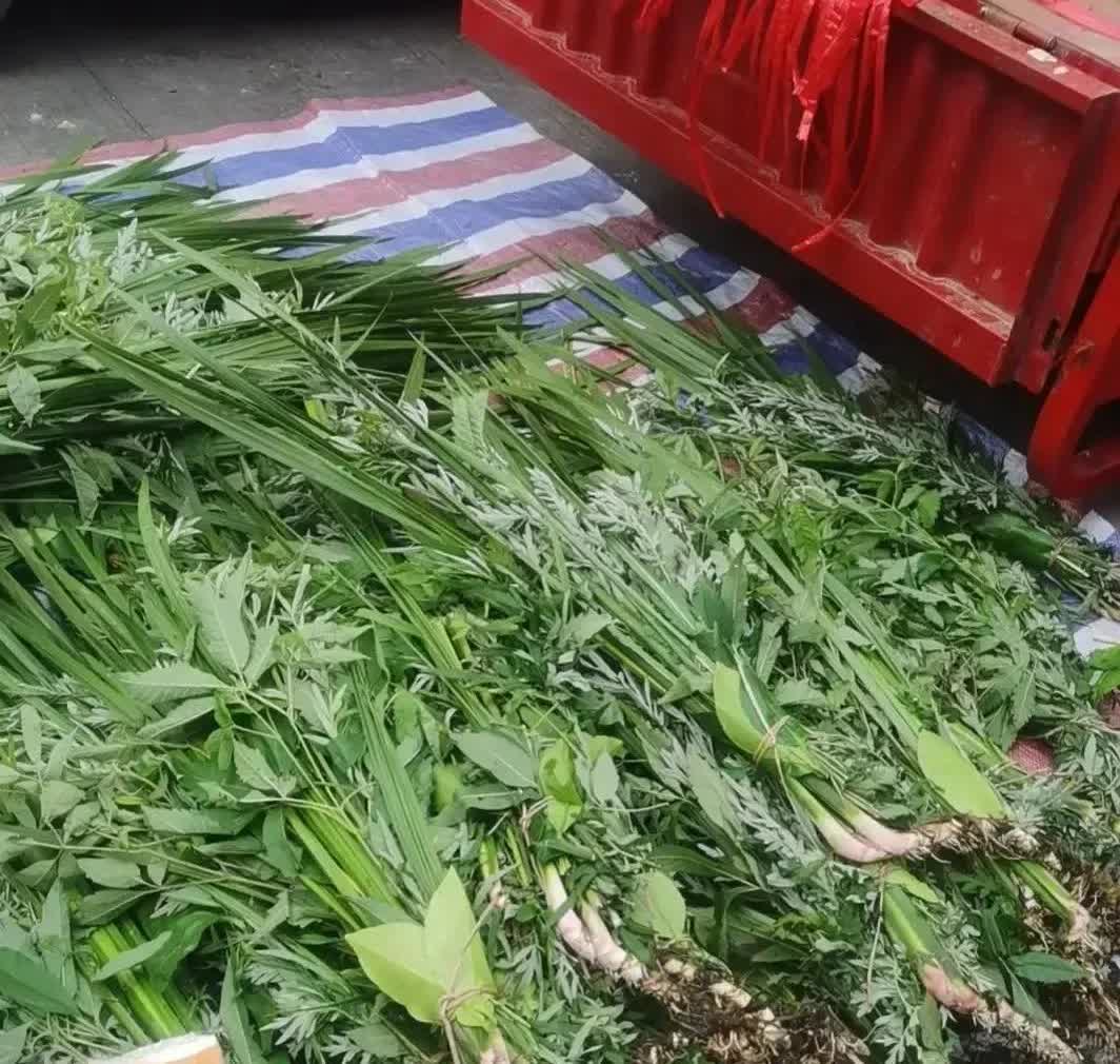 广东，一名男子看卖艾草挣钱，五块钱一把，钱也太好赚了。于是，在端午节这天，他到家
