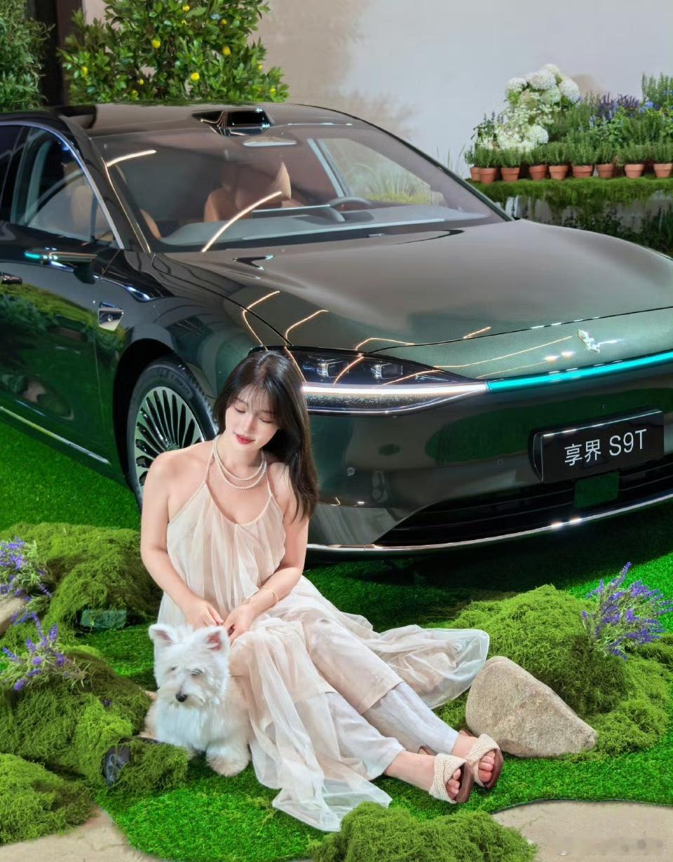 享界S9T一个字稳享界S9T，它的底盘是真稳，不管是走烂路、爬坡过弯，都很扎实