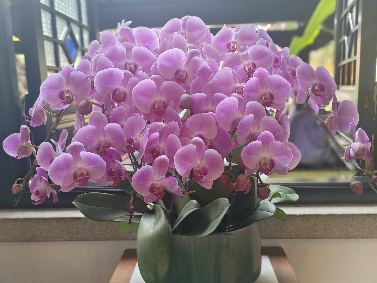 认知越低的人，身上这9个特征越明显，中3条以上，趁早远离你有没有发现：生活